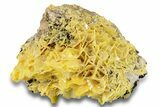 Lustrous Bright Yellow Wulfenite on Dolomite - Morocco #258042-2